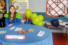 paraWeb-1
